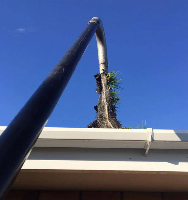 gutter clearing